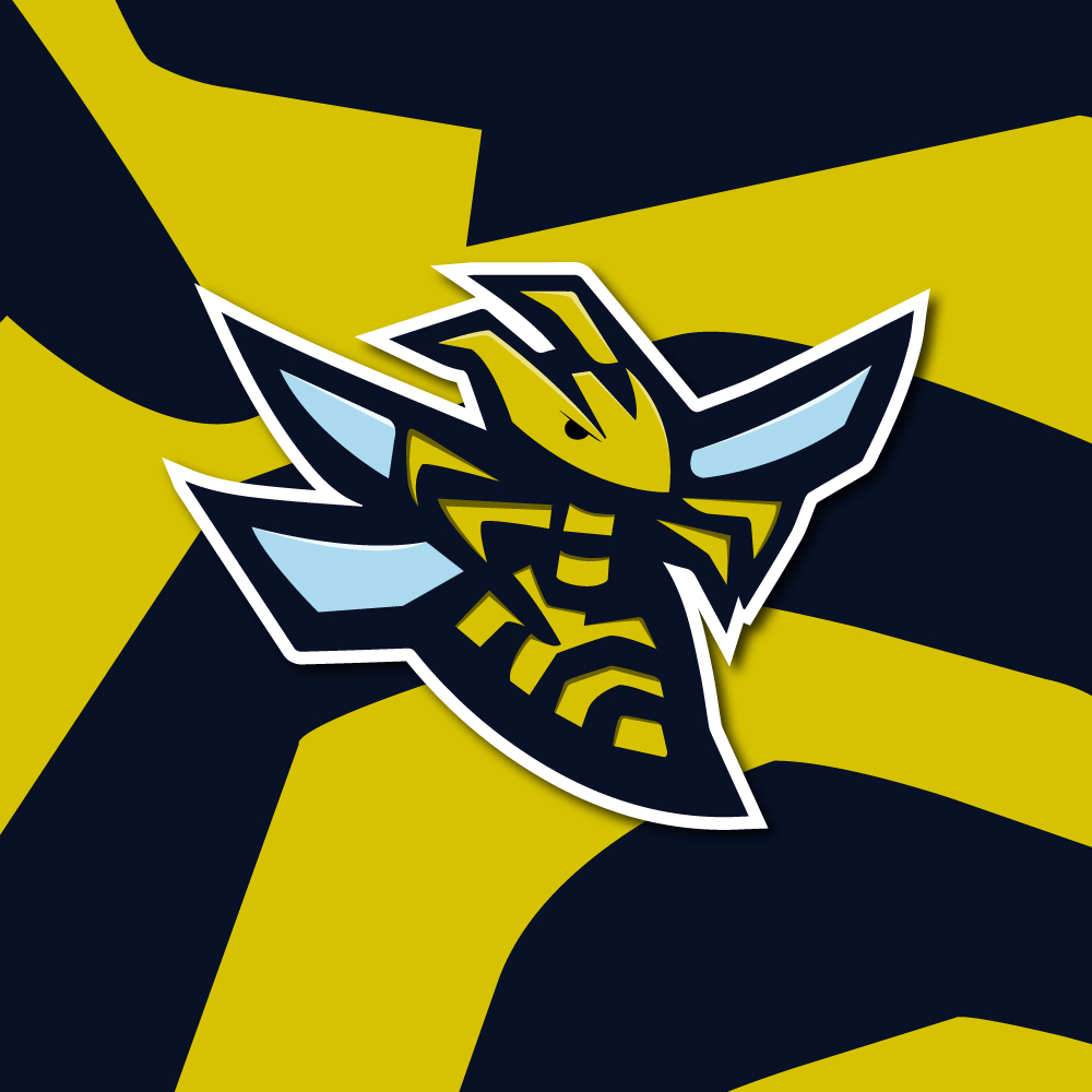 Wasp Sports Logo Package